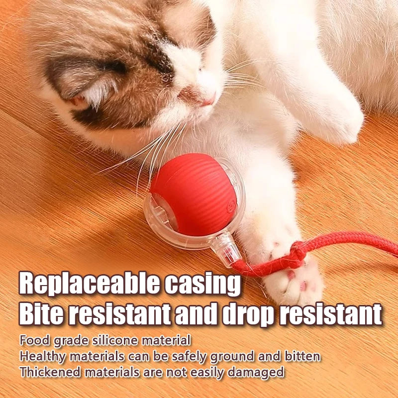 Rolling Ball with Mouse Tail