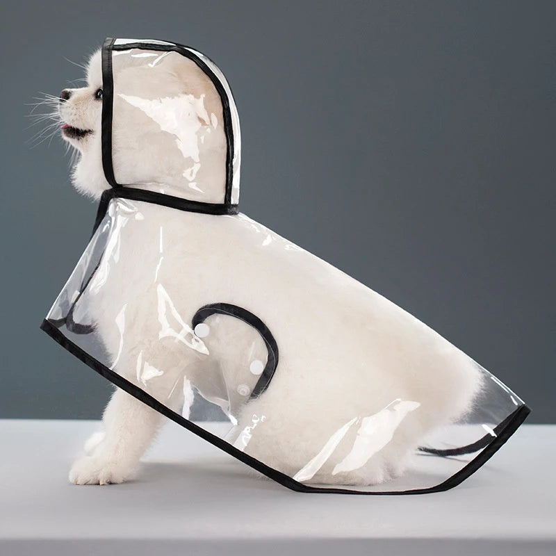 Clear Hooded Raincoat
