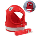 Cat Mesh Harness & Lead Set