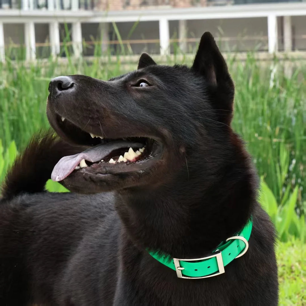 Waterproof Heavy-Duty TPU Collar