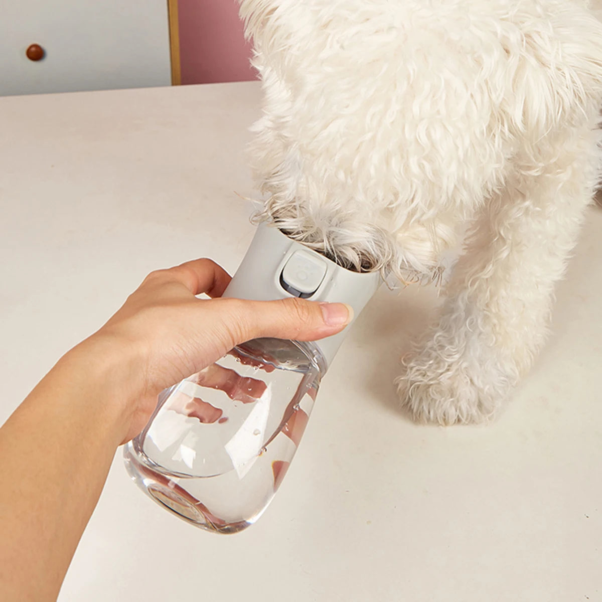 Leak-Proof Travel Water Bottle