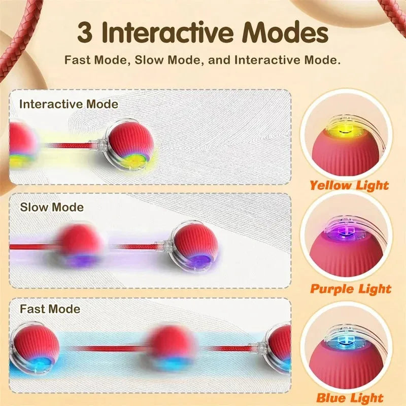 Self-Rolling Smart Ball (USB)