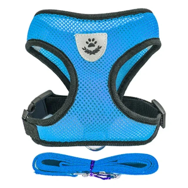 Mesh Harness Vest & Lead