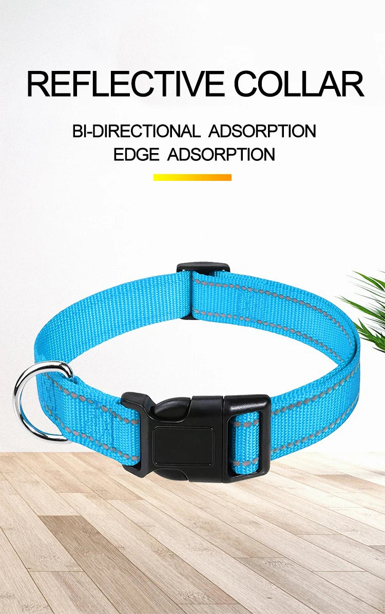 Decorative Small Dog Collar