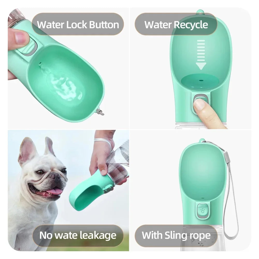 Leak-Proof Travel Water Bottle