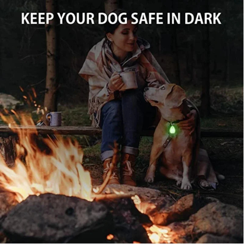 LED Glow Pendant Collar