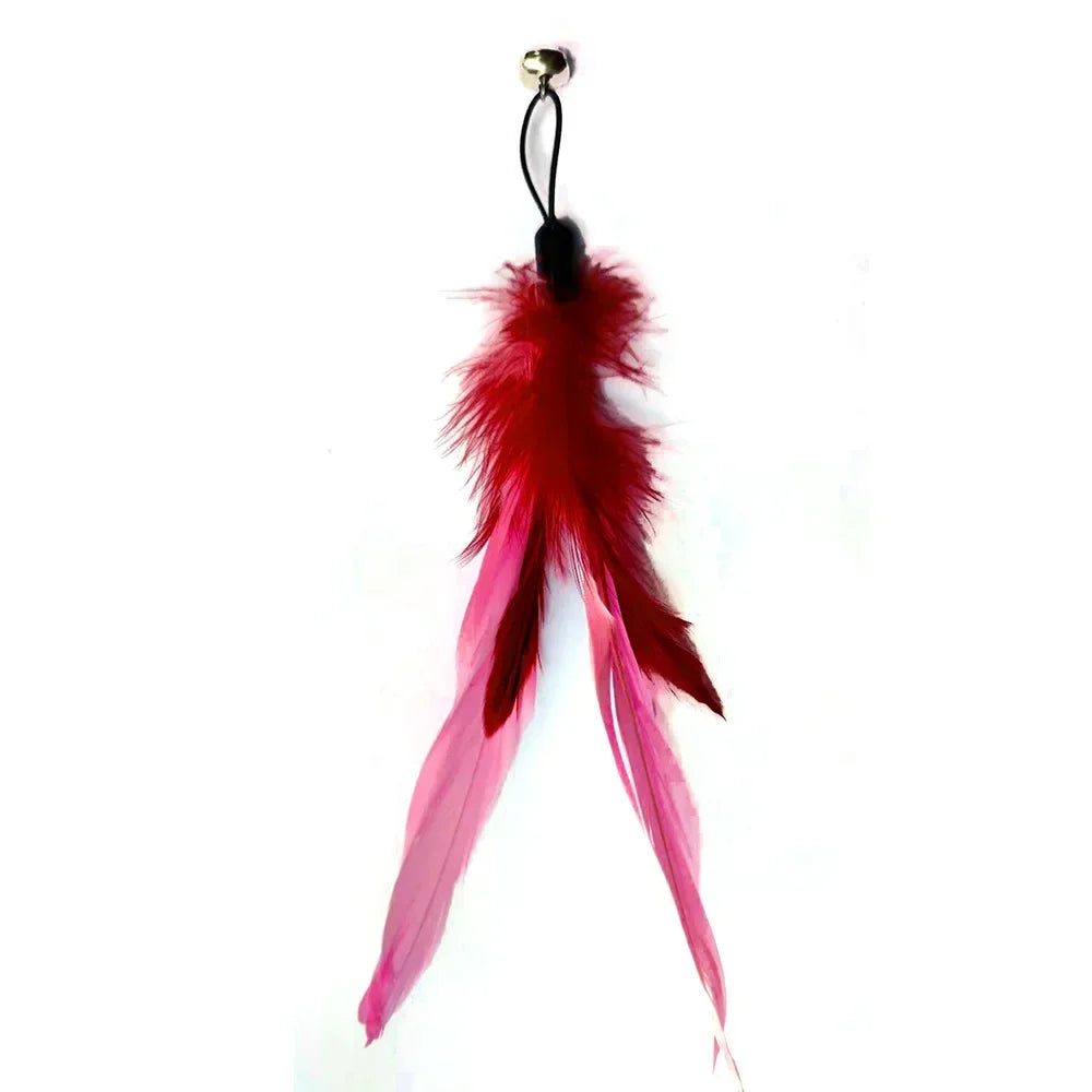Feather & Worm Wand Refills