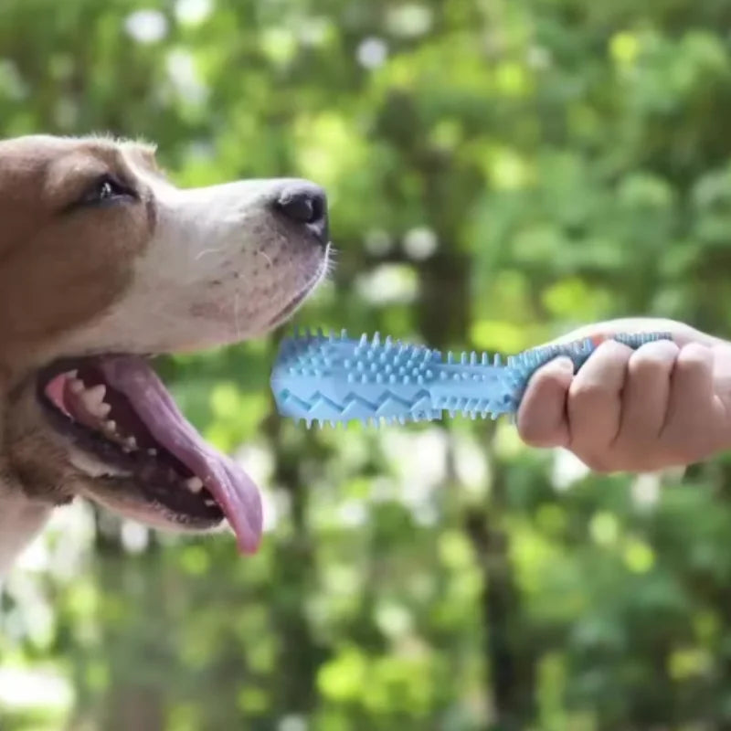 Treat-Dispensing Chew Stick
