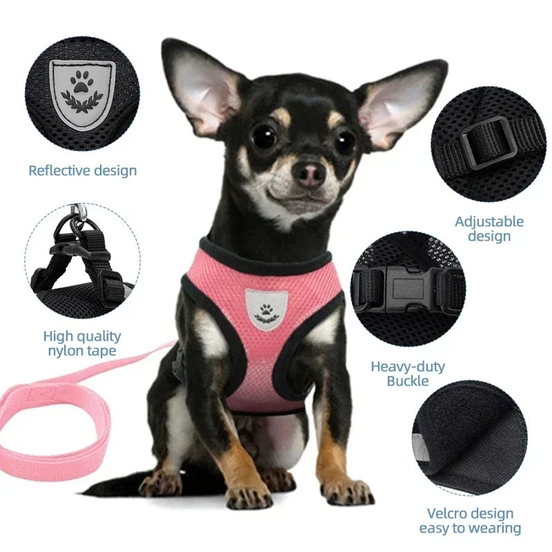 Mesh Harness Vest & Lead