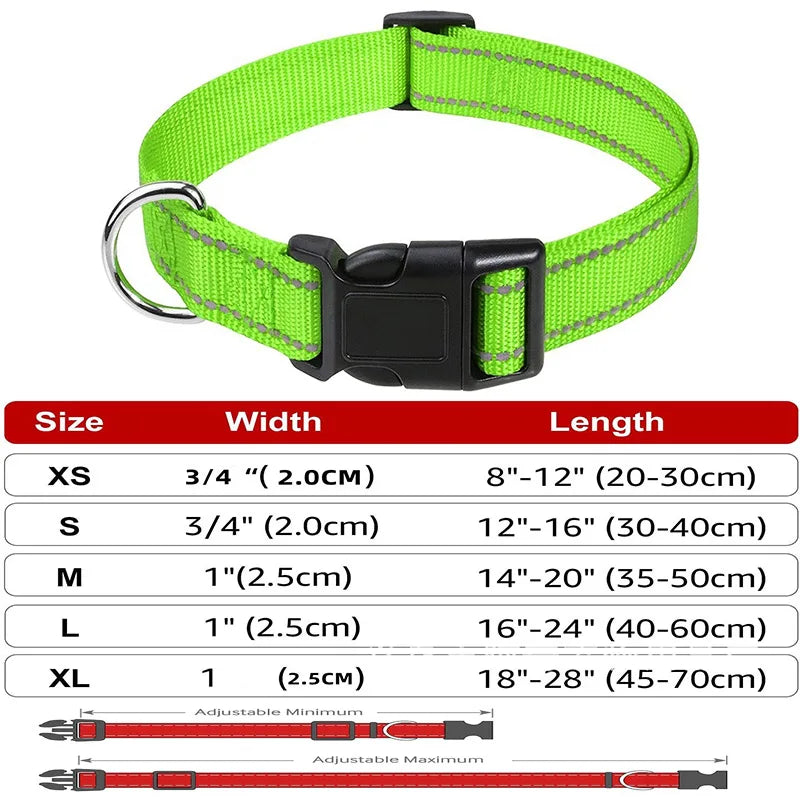 Decorative Small Dog Collar