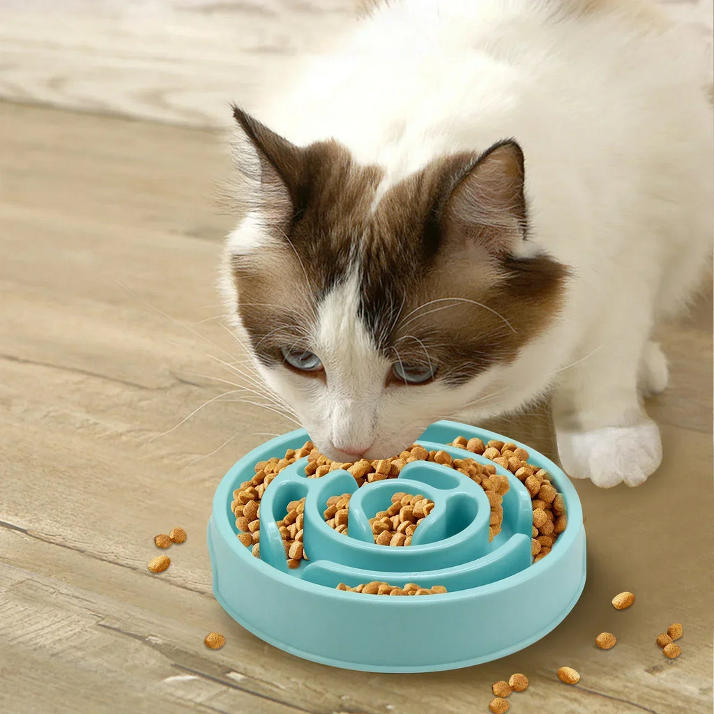 Anti-Gulp Slow Feeder Bowl