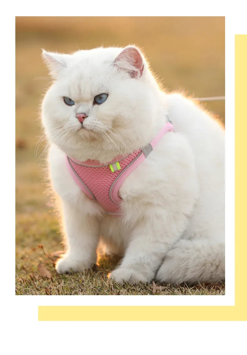 Breathable Vest Harness for Small Pets