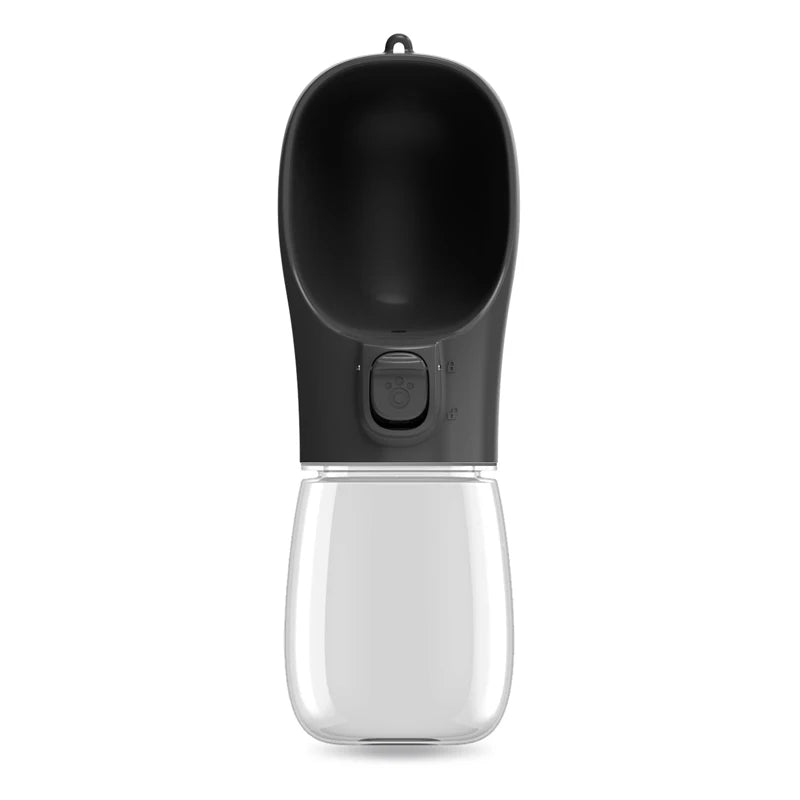 Leak-Proof Travel Water Bottle