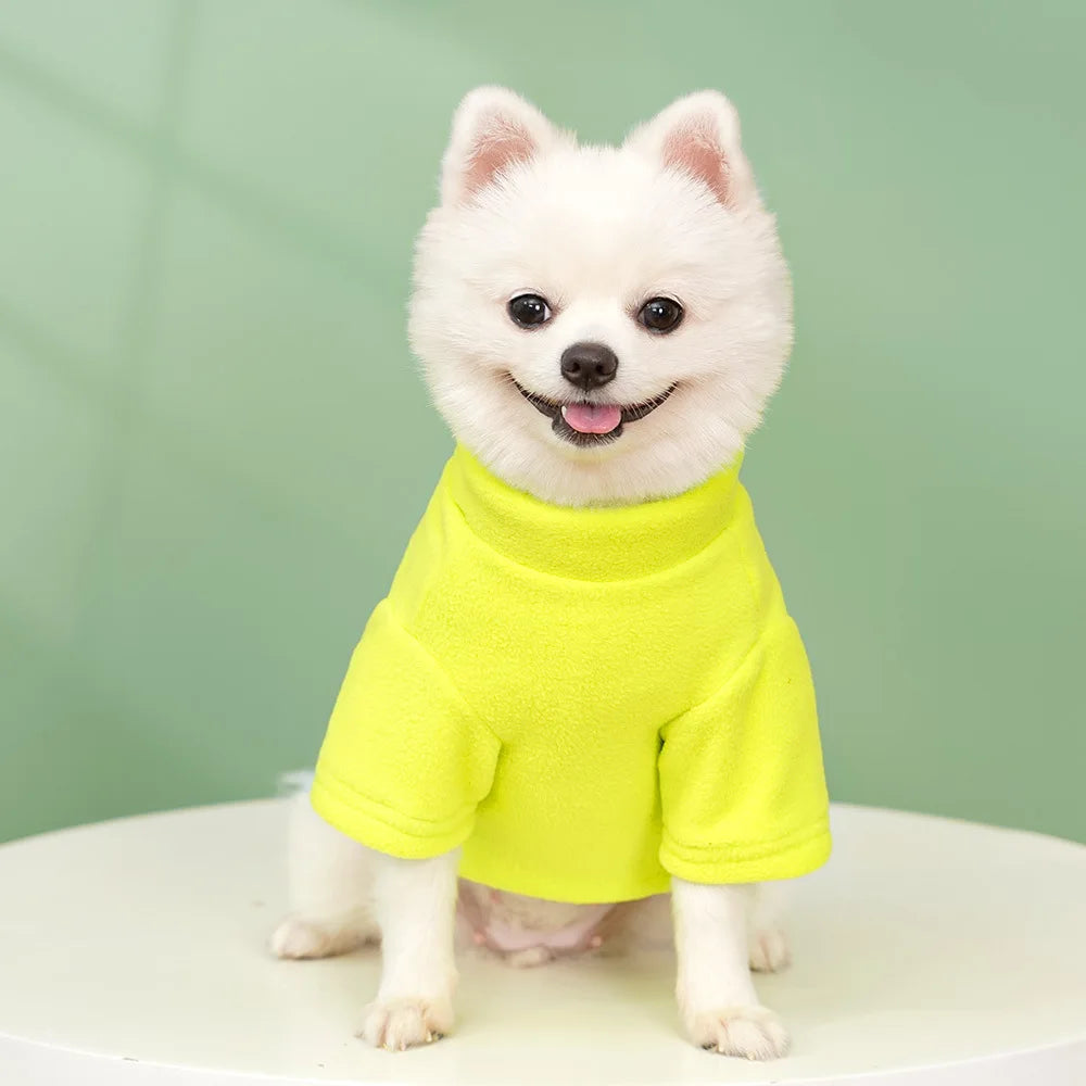 Classic Solid Hoodie