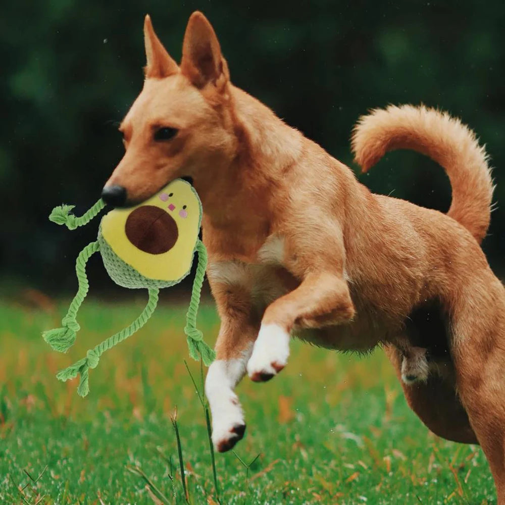 Avocado Octopus Knot Toy