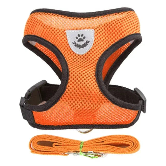 Mesh Harness Vest & Lead