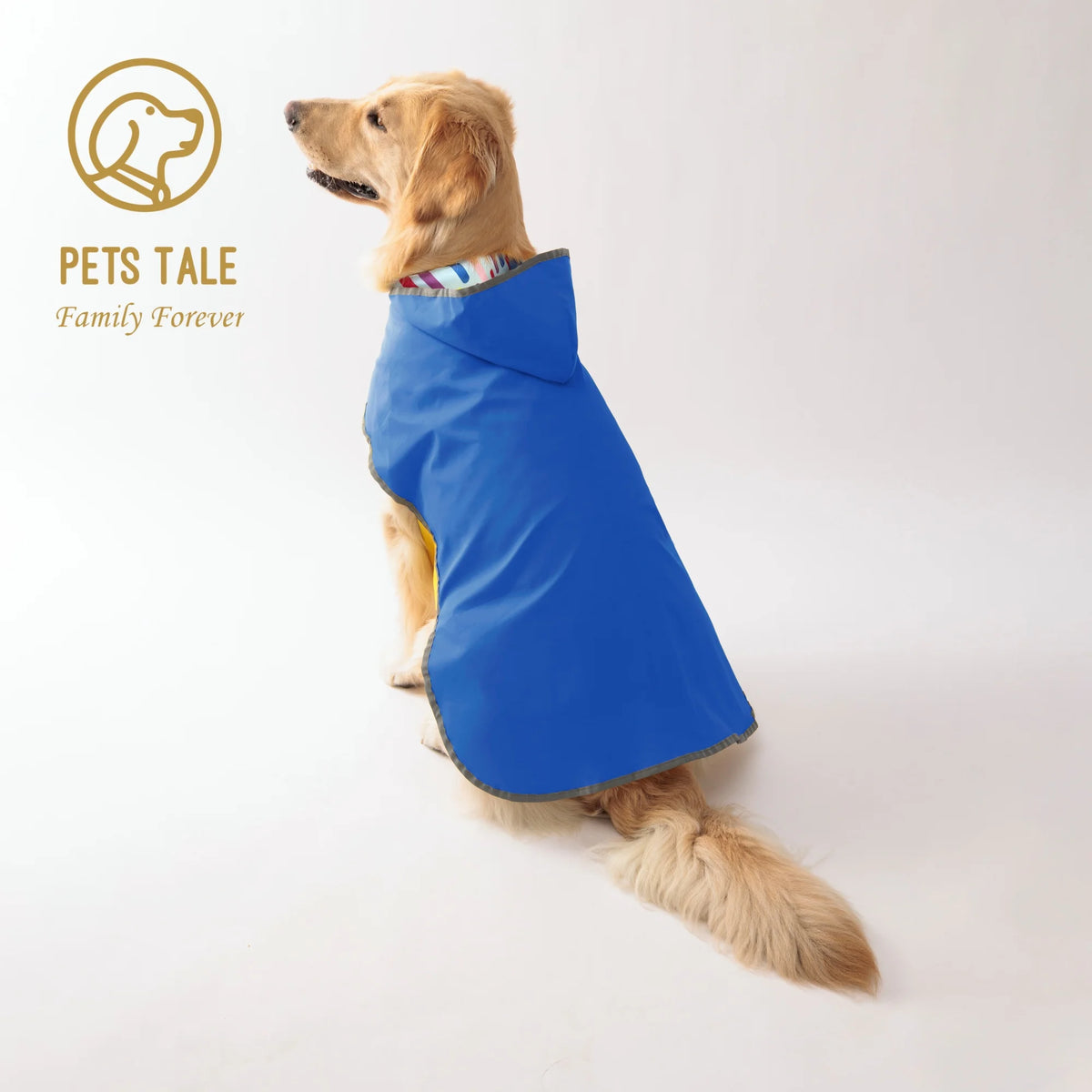 Reversible Yellow Raincoat
