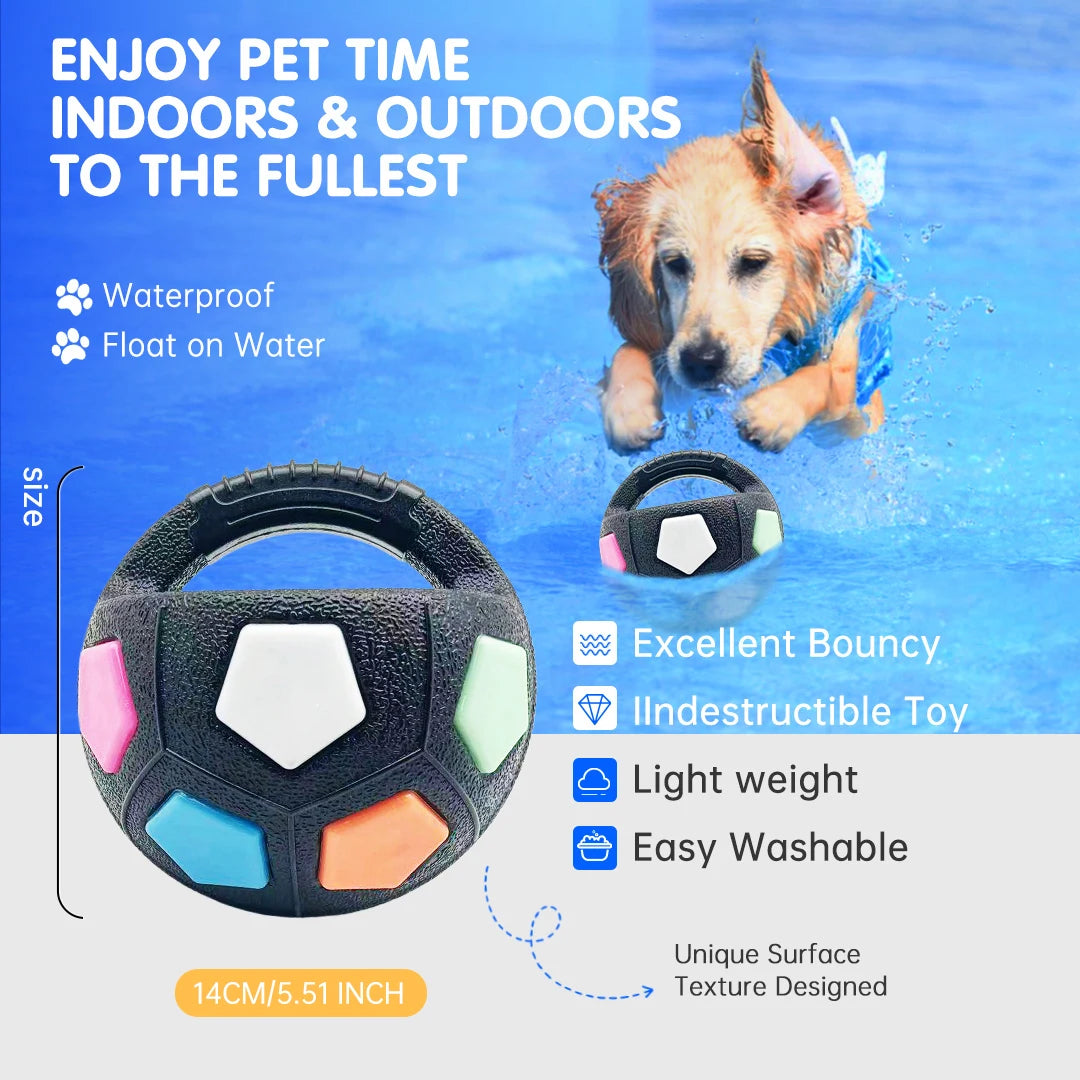 Football Squeaky Fetch Ball
