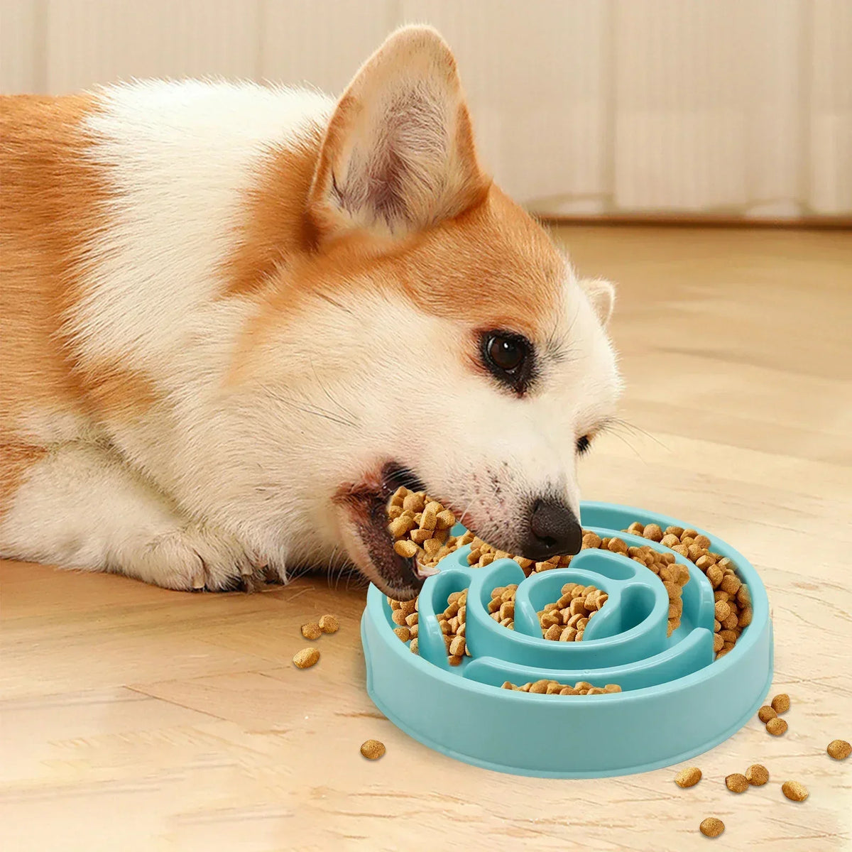 Anti-Gulp Slow Feeder Bowl