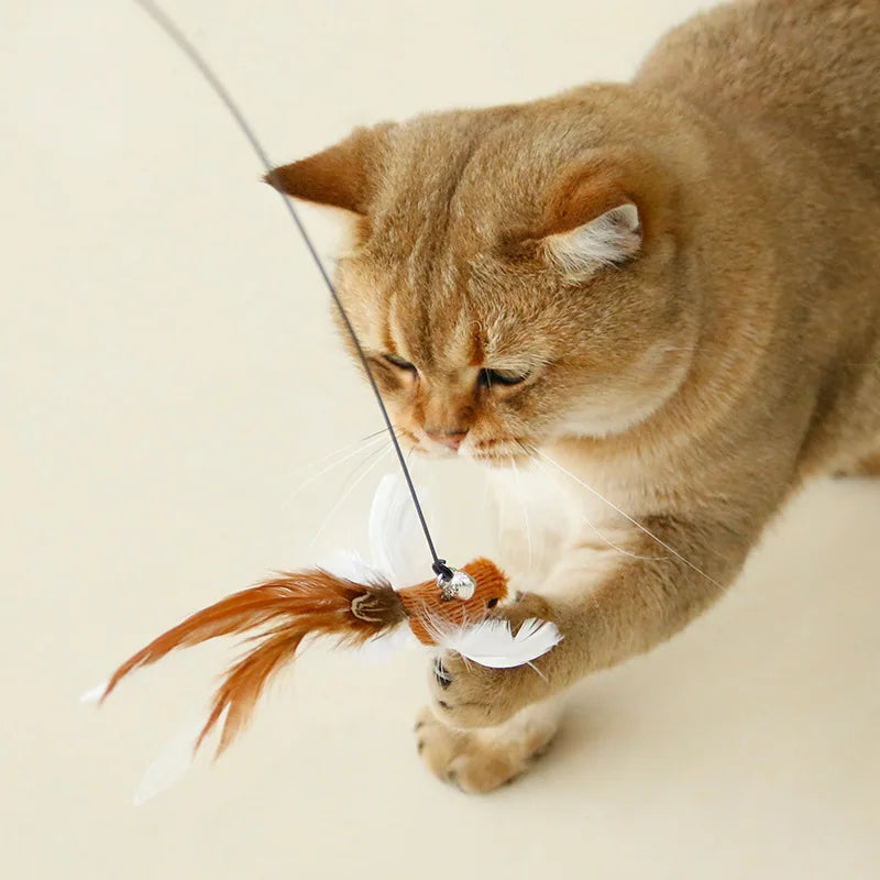 Suction Cup Feather Wand
