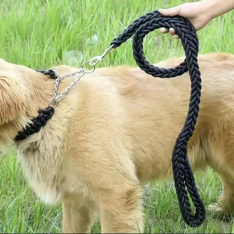 Braided Rope Training Lead