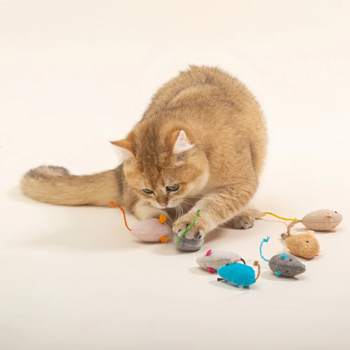 Rattle Mice with Catnip