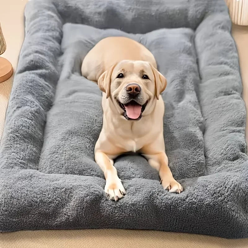 Oversized Plush Sofa Bed