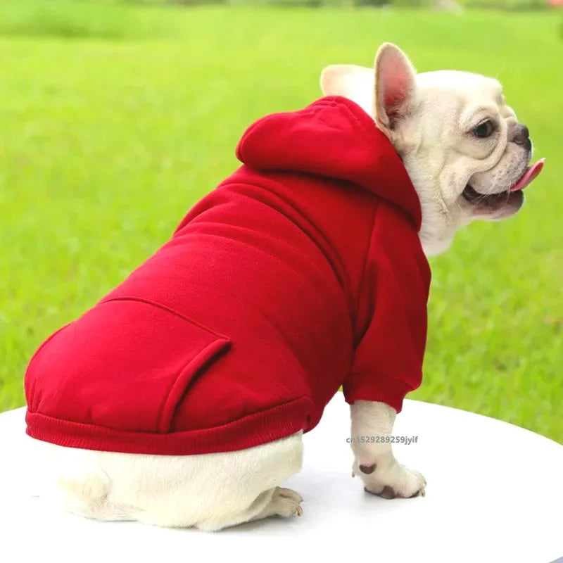 Hooded Sweatshirt for Cats