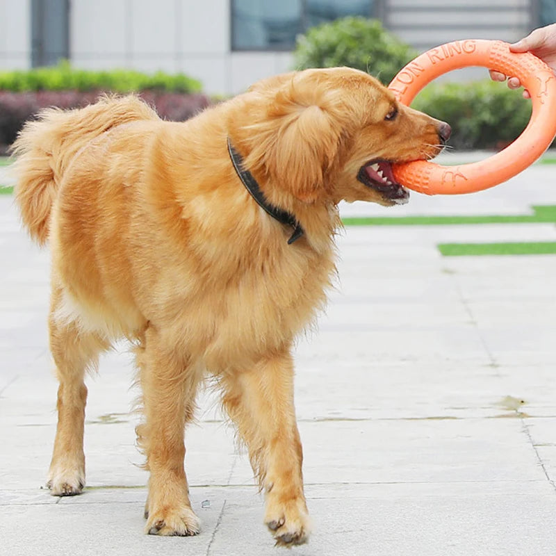 EVA Tug & Fetch Training Ring