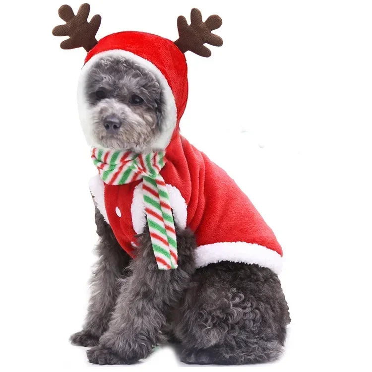 Christmas Elk & Santa Outfit