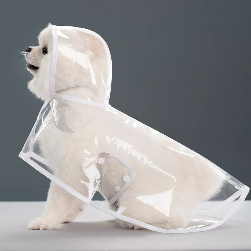 Clear Hooded Raincoat