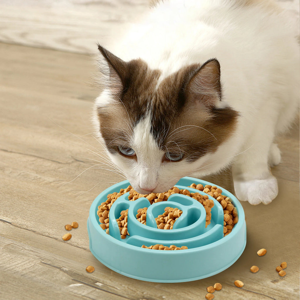 Anti-Gulp Slow Feeder Bowl