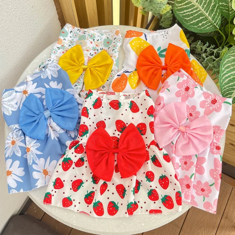 Bow & Lace Summer Dress