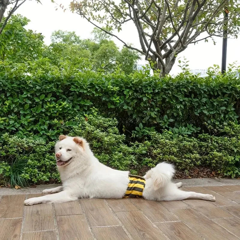 Washable Male Dog Belly Band