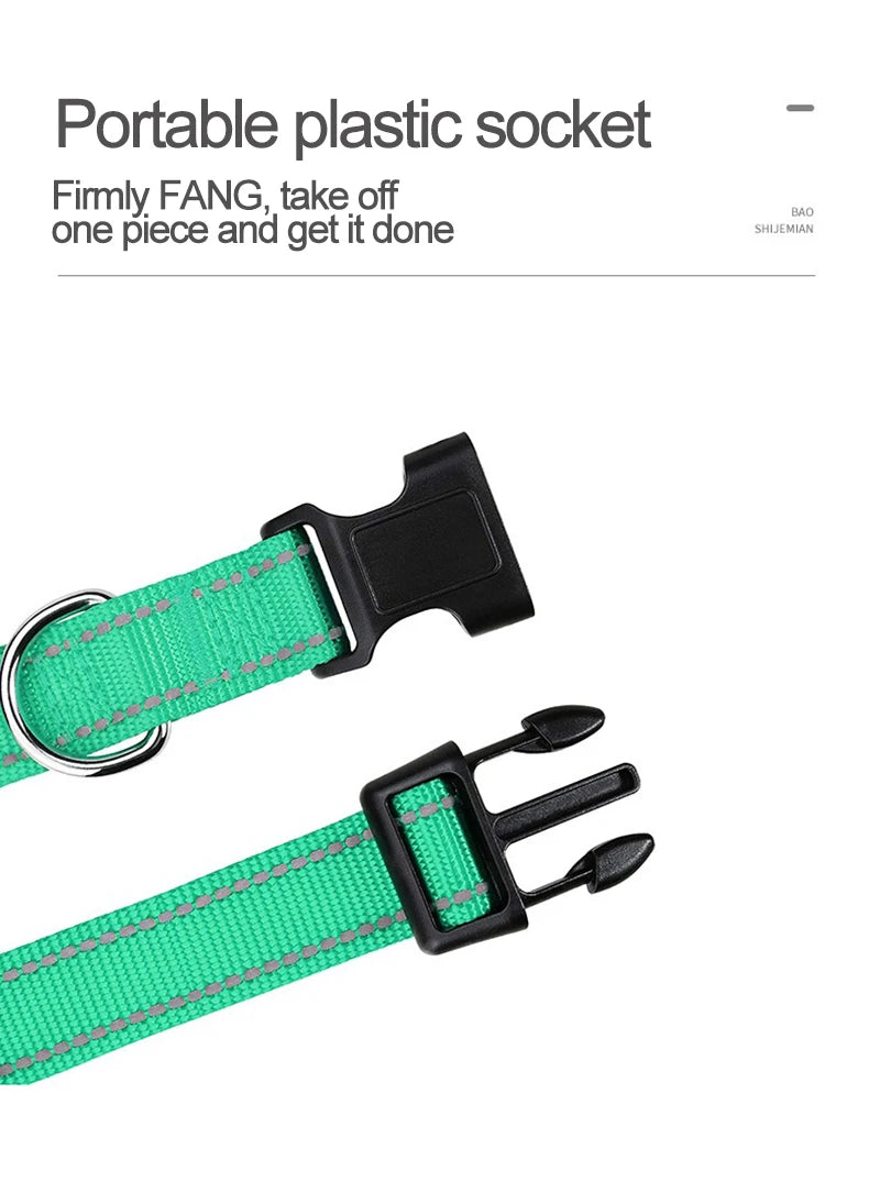 Decorative Small Dog Collar