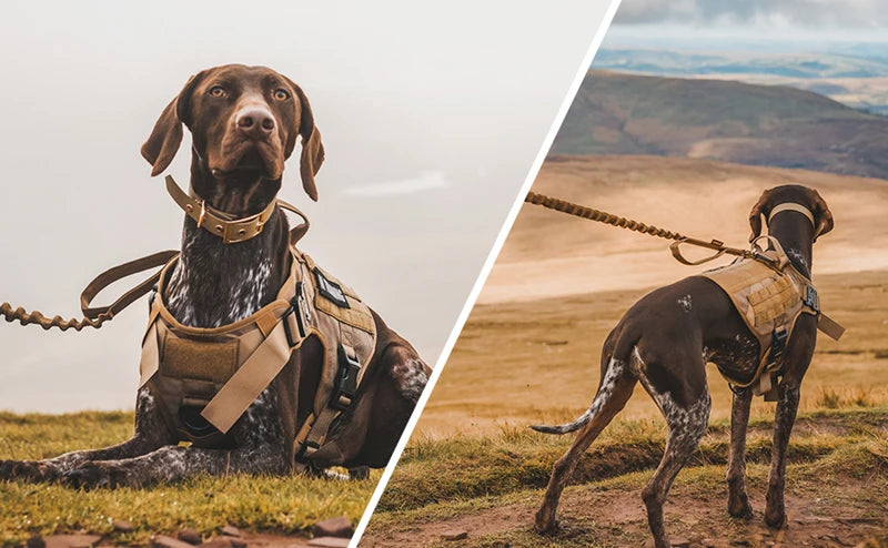 Tactical MOLLE Harness Set