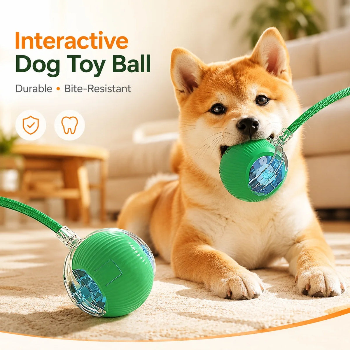 Self-Rolling Smart Ball (USB)
