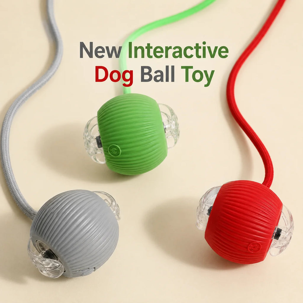 Self-Rolling Smart Ball (USB)