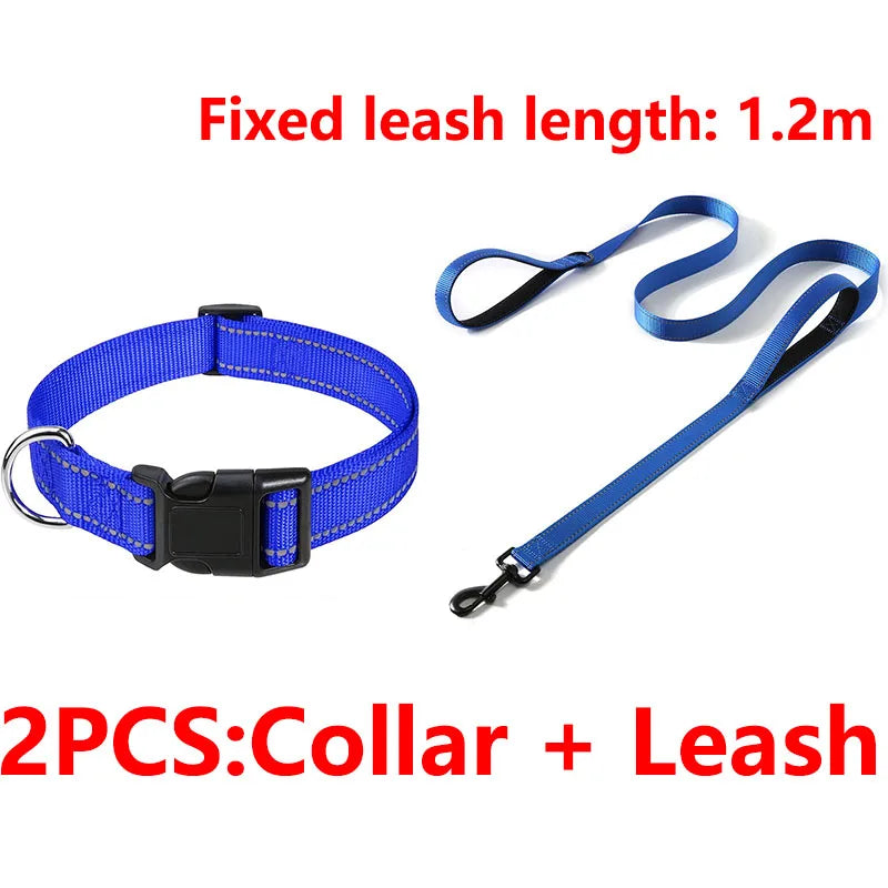 Decorative Small Dog Collar