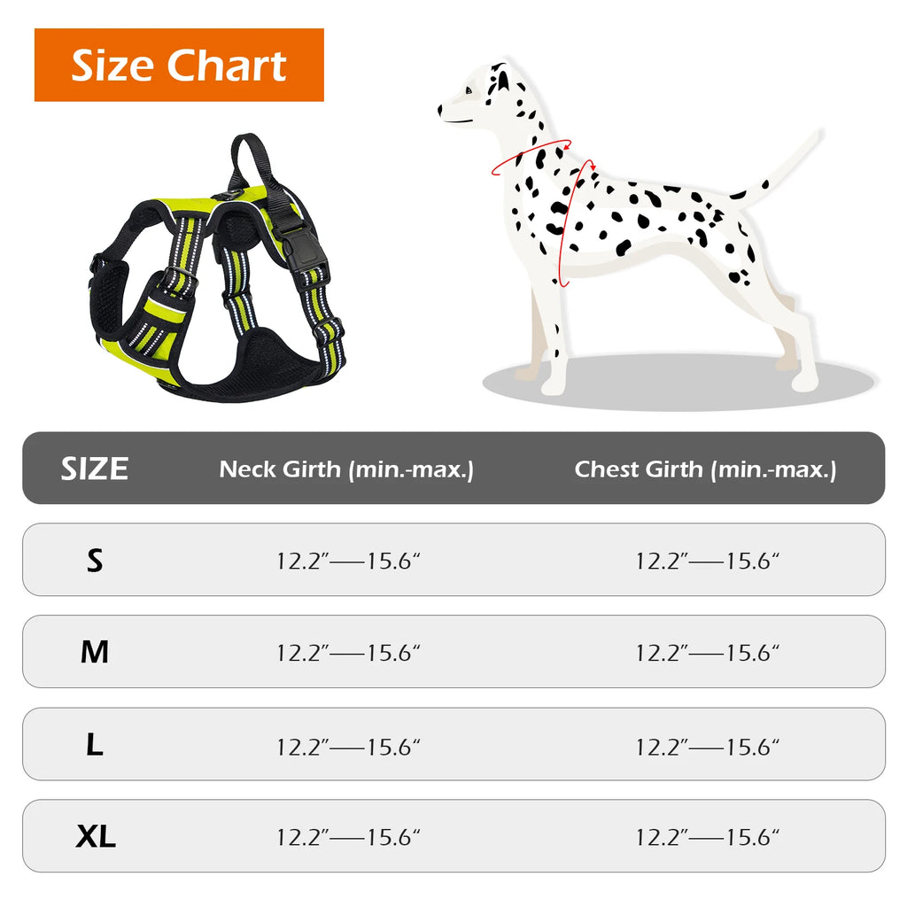 Adjustable Harness with Handle