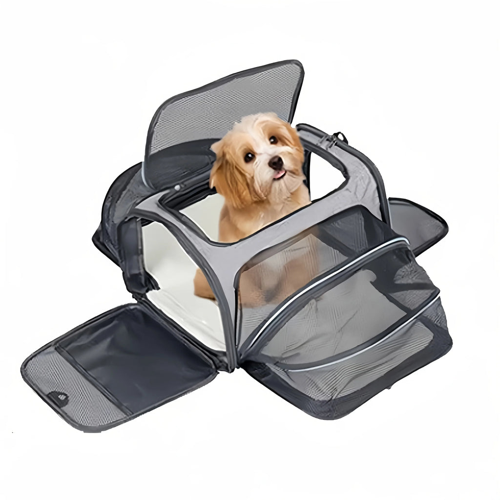 Expandable Mesh Carrier Bag