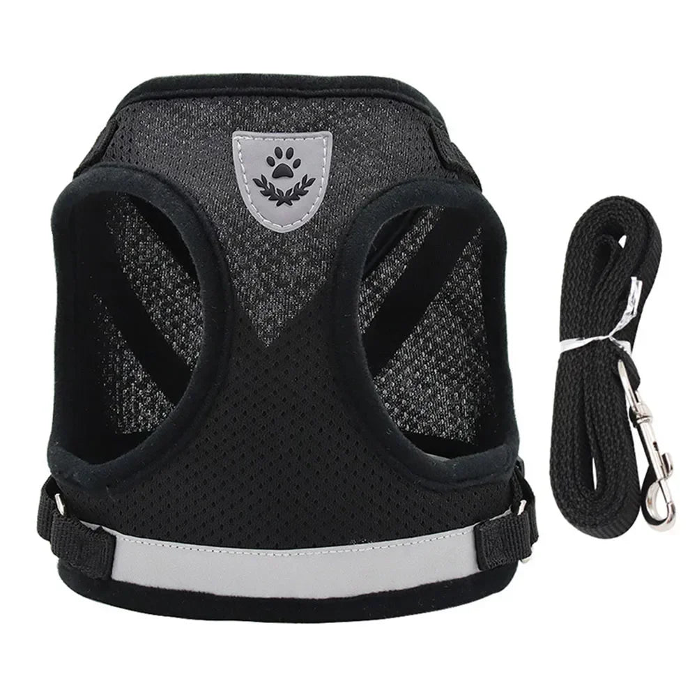 Cat Mesh Harness & Lead Set