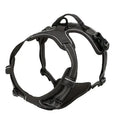 Leather-Look Collar, Harness & Lead Set