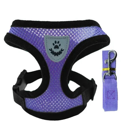 Mesh Harness Vest & Lead