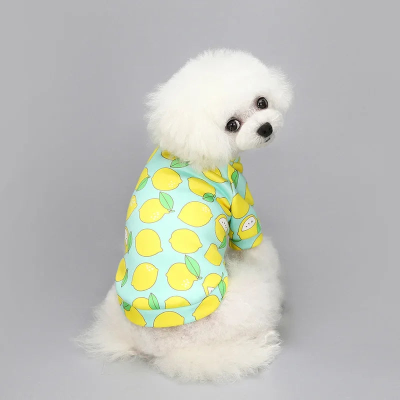 Printed Fleece Dog Sweatshirt