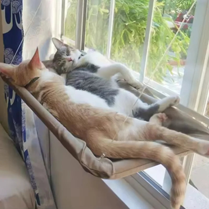 Sunny Window Hammock for Cats